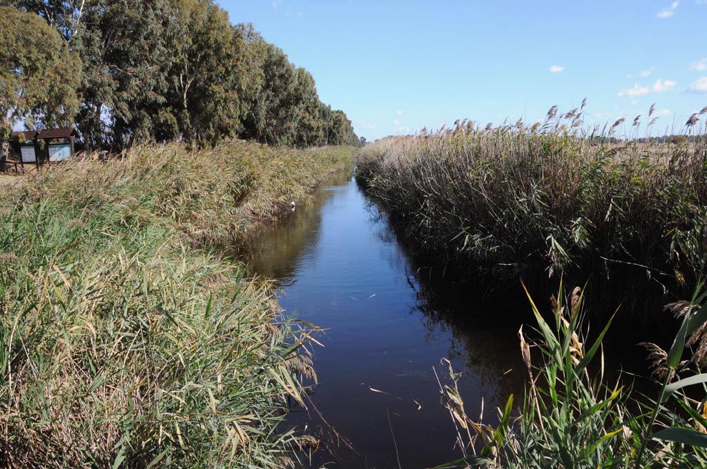 oasi lago salso