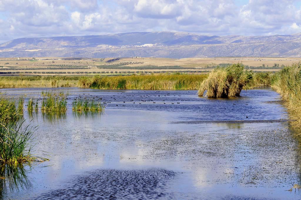 oasi lago salso