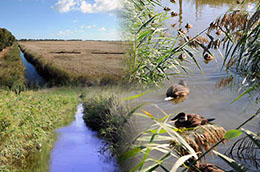 Oasi Lago Salso