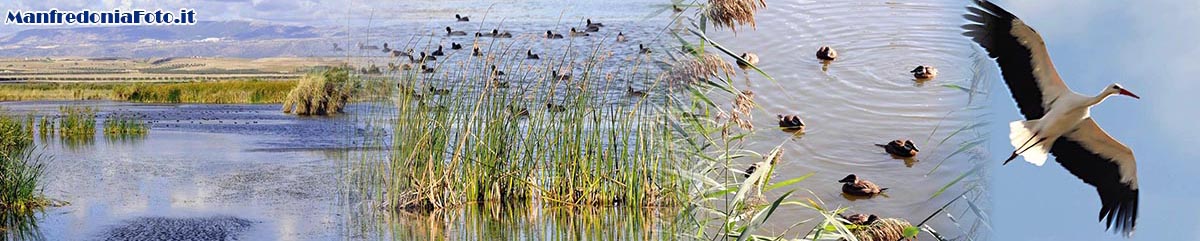 Oasi Lago Salso