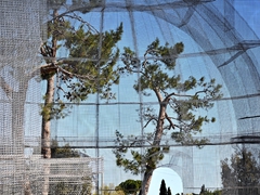Basilica Siponto e Opera di Edoardo Tresoldi. Foto 035
