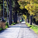 Panoramiche di Manfredonia 001