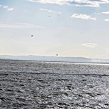 Panoramiche di Manfredonia 028