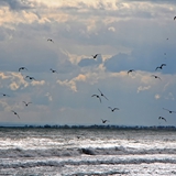 Panoramiche di Manfredonia 063