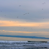 Panoramiche di Manfredonia 069