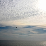 Panoramiche di Manfredonia 076