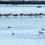 Panoramiche di Manfredonia 080