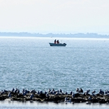 Panoramiche di Manfredonia 089