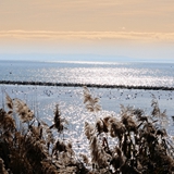 Panoramiche di Manfredonia 095