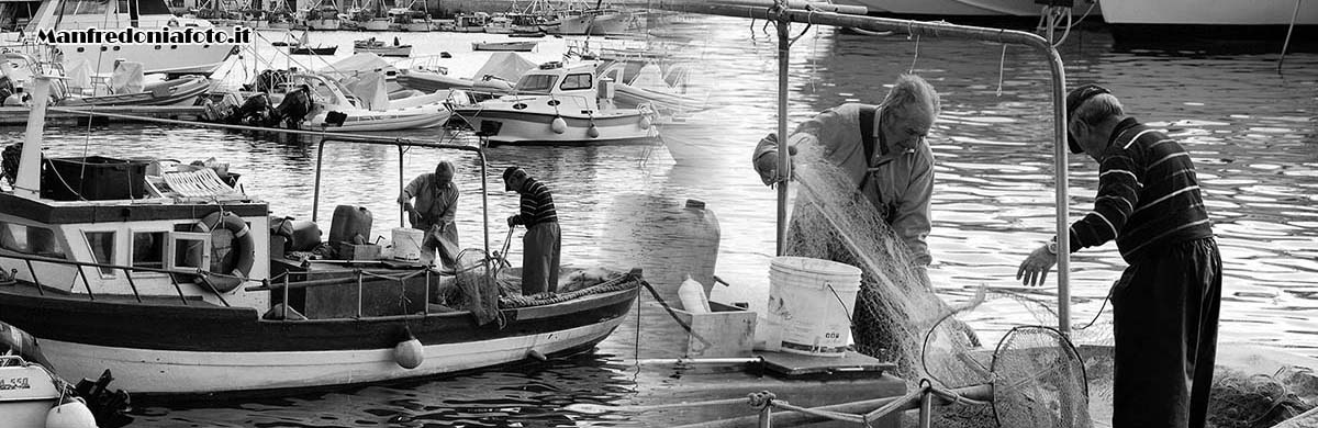 Porto Manfredonia Pescatori