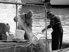 Manfredonia, pescatori al lavoro. Foto 001