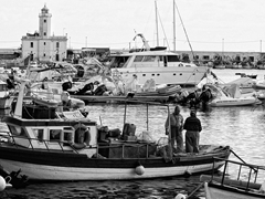 Manfredonia, pescatori al lavoro. Foto 006