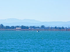 Foto porto di Manfredonia