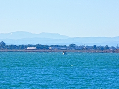 Foto porto di Manfredonia