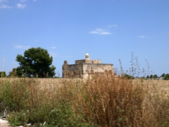 Solstizio d'estate di San Leonardo - 034