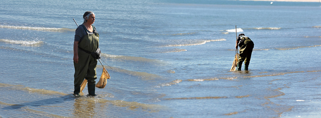 Spiaggia di Siponto