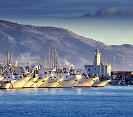 foto di Manfredonia e Gargano