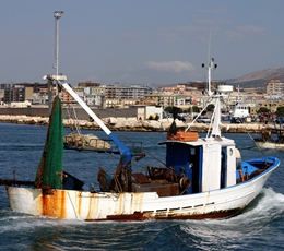 foto di Manfredonia e Gargano