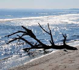 foto di Manfredonia e Gargano