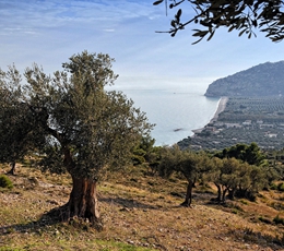 foto di Manfredonia e Gargano