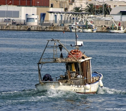 foto di Manfredonia e Gargano