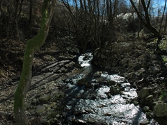 Panoramiche di Faeto. Foto 011