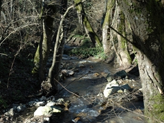 Panoramiche di Faeto. Foto 013