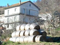 Panoramiche di Faeto. Foto 020