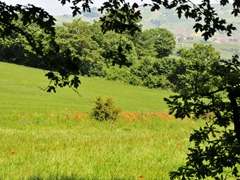 Panoramiche di Faeto. Foto 035