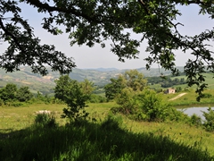 Panoramiche di Faeto. Foto 038