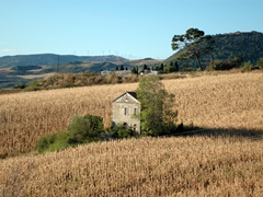 Panoramiche di Faeto. Foto 048