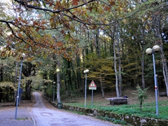 Faeto foto 022