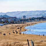 ponte_del_mare_pescara_foto009