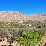passeggiata in campagna foto 002