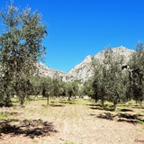 passeggiata in campagna foto 005