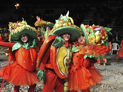 Colori del Carnevale di Manfredonia - foto 203