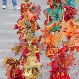 Sfilata delle Meraviglie 2008. Foto 031