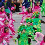 Sfilata delle Meraviglie 2008. Foto 102