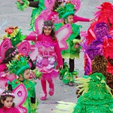 Sfilata delle Meraviglie 2008. Foto 105