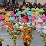 Sfilata delle Meraviglie 2008. Foto 141