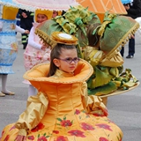Sfilata delle Meraviglie 2008. Foto 149