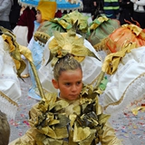 Sfilata delle Meraviglie 2008. Foto 153