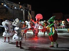 Sfilata della notte bianca Foto 187