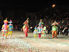 Sfilata della notte bianca Foto 237