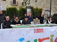 sfilata_carri_gruppi_meraviglie_2013_011