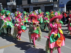 Sfilata dei carri, gruppi e meraviglie 2014, foto 026