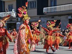 Sfilata dei carri, gruppi e meraviglie 2014, foto 028