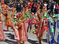 Sfilata dei carri, gruppi e meraviglie 2014, foto 030