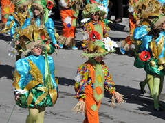 Sfilata dei carri, gruppi e meraviglie 2014, foto 048