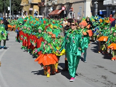 Sfilata dei carri, gruppi e meraviglie 2014, foto 052